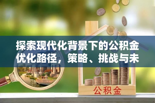 曲水探索现代化背景下的公积金优化路径，策略、挑战与未来展望