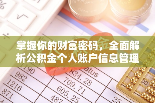 曲水掌握你的财富密码，全面解析公积金个人账户信息管理与优化