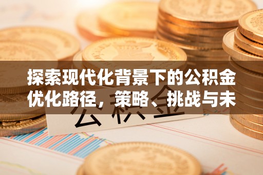 曲水探索现代化背景下的公积金优化路径，策略、挑战与未来展望