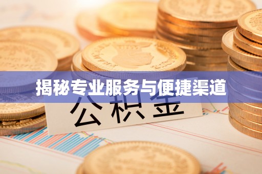 曲水揭秘专业服务与便捷渠道