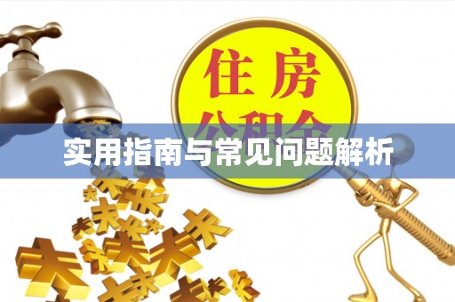 曲水实用指南与常见问题解析