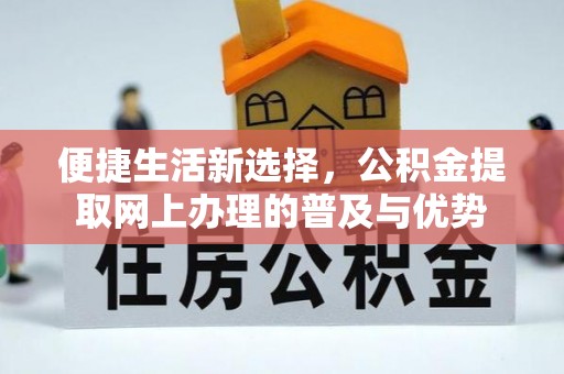 曲水便捷生活新选择，公积金提取网上办理的普及与优势