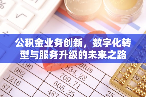 曲水公积金业务创新，数字化转型与服务升级的未来之路